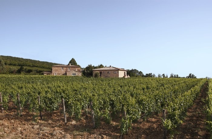 Le Potazzine