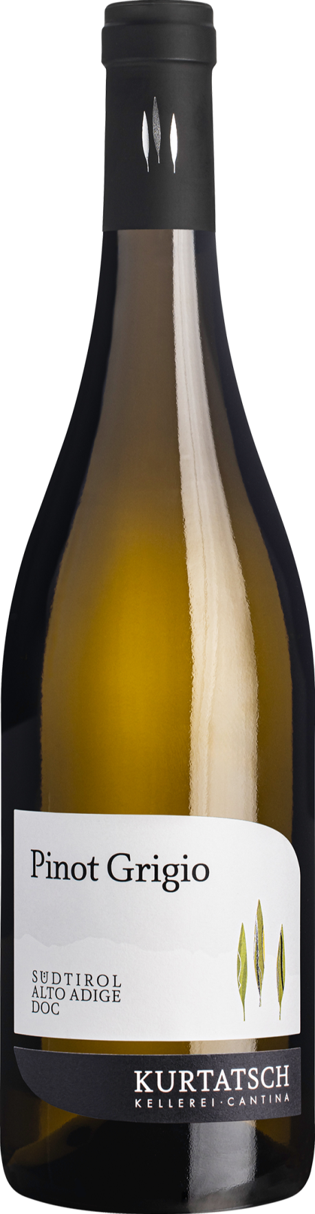 Pinot Grigio 2025