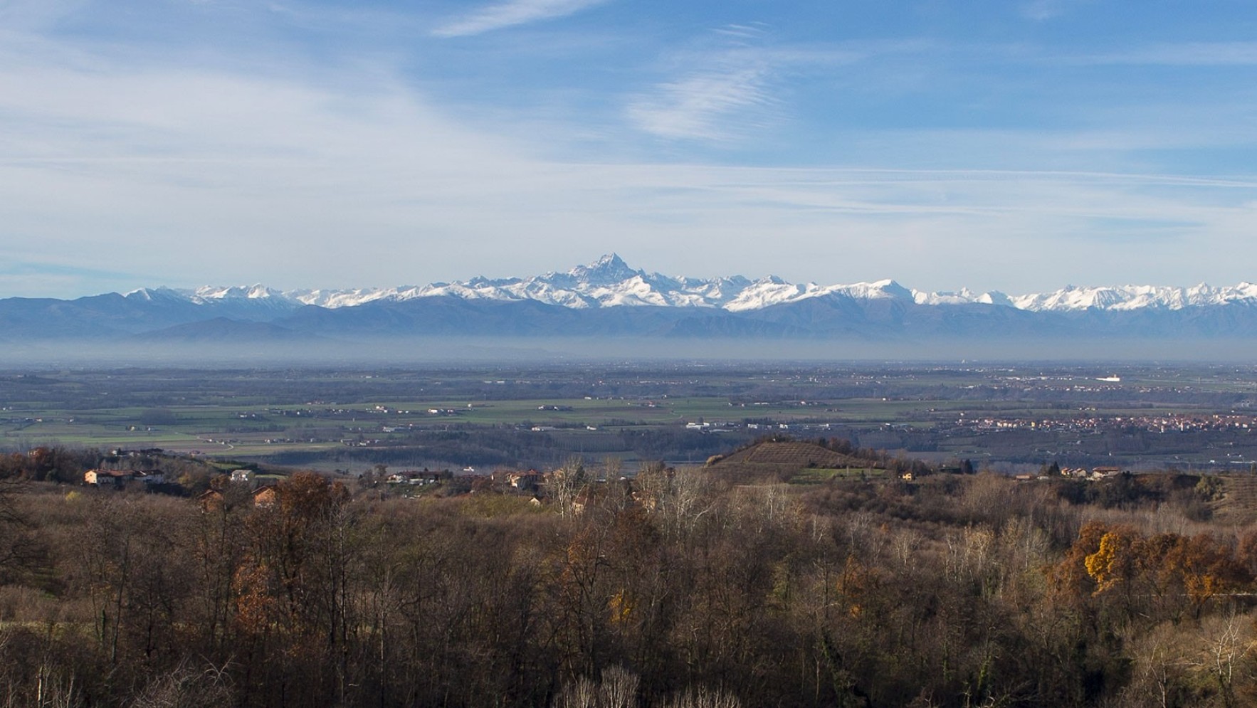 Over deze wijn
