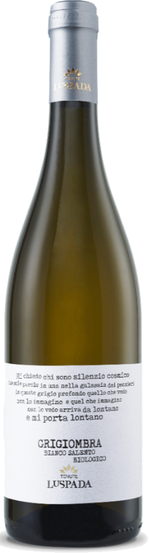 Grigiombra Bianco 2024
