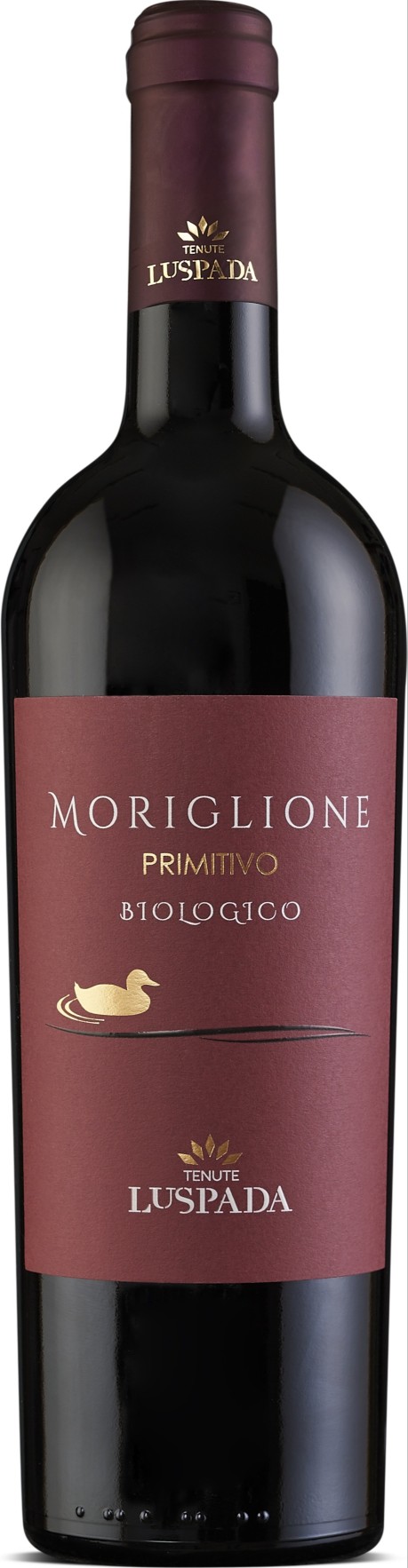 Moriglione Primitivo 2022