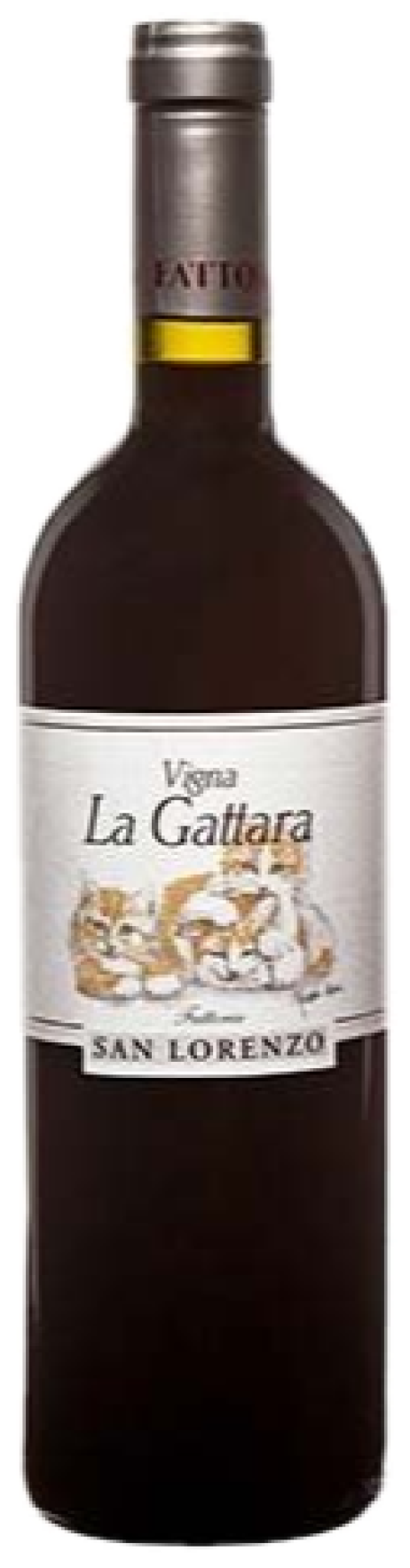 La Gattara 2018